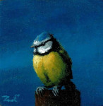 pimpelmees op eiken blokje 4.8 x 4.8 cm