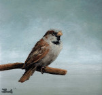 manmus op tak kijkt om  6.8 x 6.4 cm