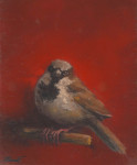verbaasde manmus op takje  5.4 x 6.8 cm
