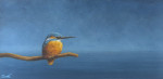 ijsvogel in het licht met horizon 23.7 x 11.5 cm (verkocht)