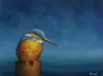ijsvogel gelooft het niet  9.8 x 7.3 cm (verkocht)